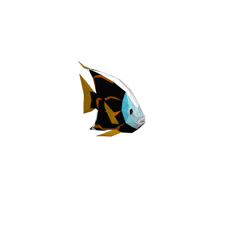 Angelfish in How to Fish