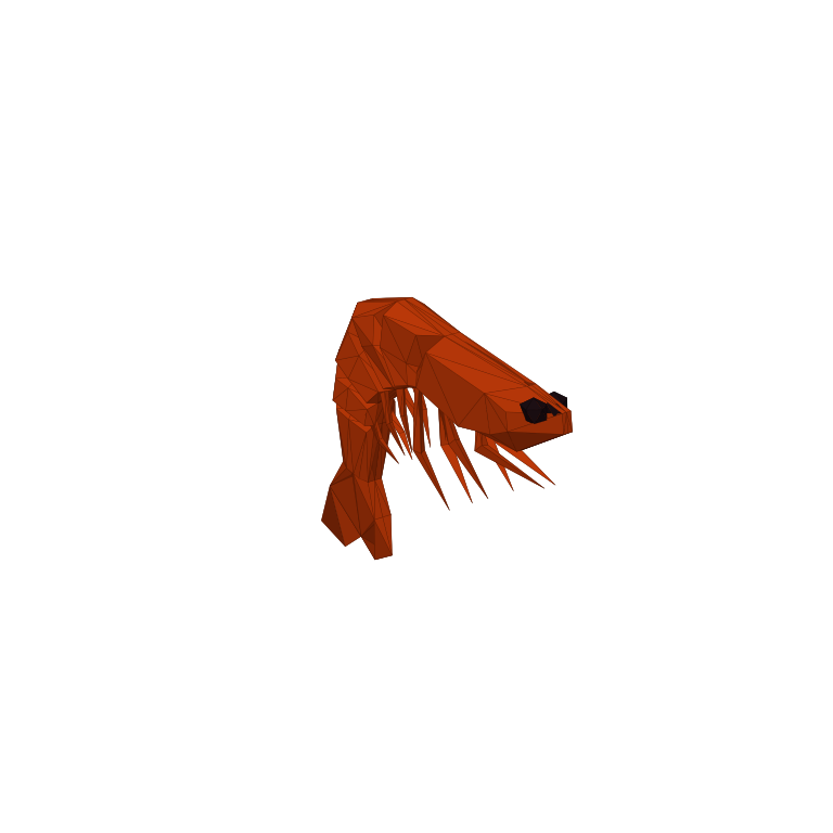 Shrimp in How to Fish