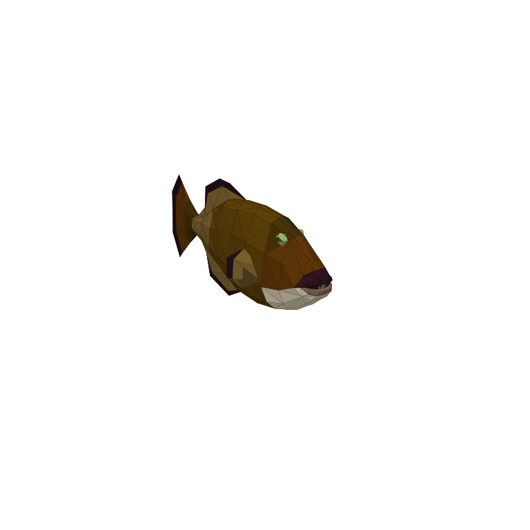 Triggerfish in How to Fish